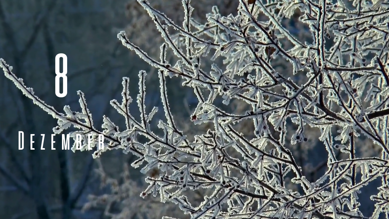A 20-nie-Adventskalender 2025